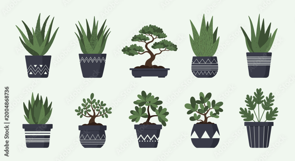 Fototapeta premium Collection of various potted house plants including succulents and bonsai for interior design projects