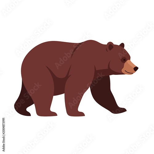 Tableau sur toile Brown bear walking on ground slowly.
