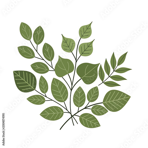 Foto Green leaves on a branch 1.
