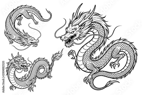 Set of Japanese and Chinese Dragon Vector Illustrations in Line Art Style.