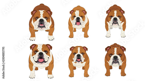 Six Adorable English Bulldog Cartoon Vector Illustrations Set. Cute Dogs in Various Shades, Isolated on White Background.