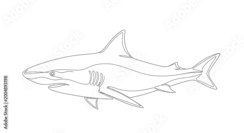 Fotografie Minimalist Shark Outline Drawing - Ocean Predator
