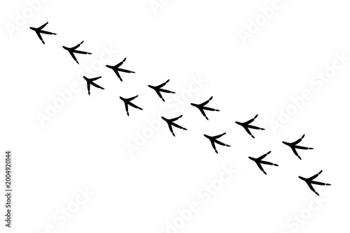 Bird Footprints Trail
