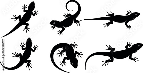 Photos Set of lizard silhouettes in different poses isolated on white background reptil