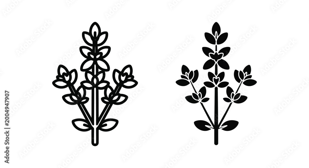 Fototapeta premium Thyme herb icon set