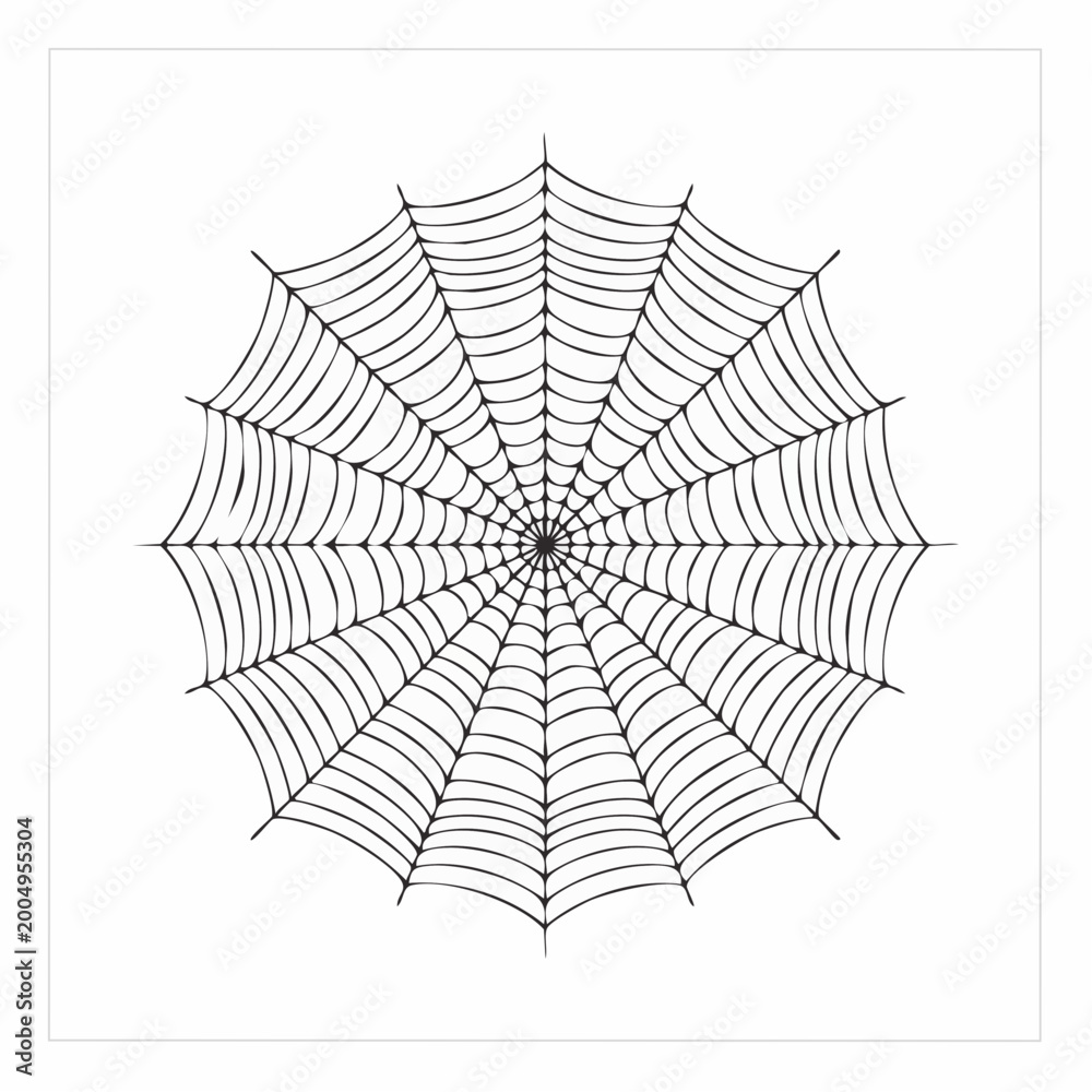 Obraz premium Black and White Spider Web Illustration