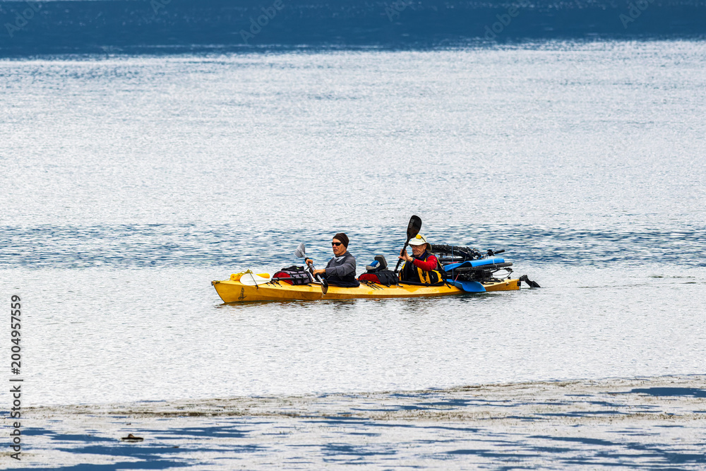 Naklejka premium Pitt Lake Moments - where water meet wild