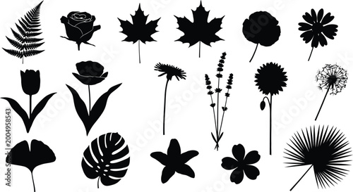 Black silhouettes of various flowers and leaves on white background