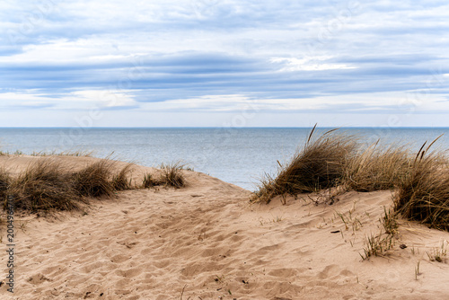 Sand dunes on Lake Michigan, with clumps of grass and reeds, set against a backdrop of water and a cloudy sky.