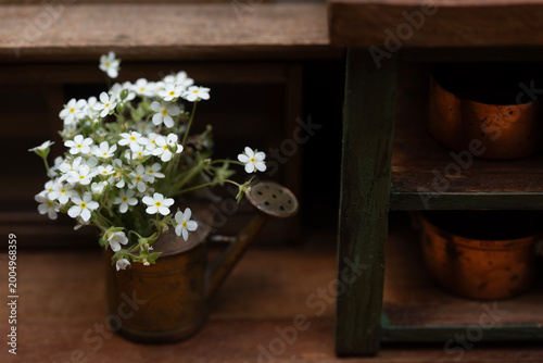 Lovely small white flowers in a vintage copper watering can on a rustic wooden shelf.