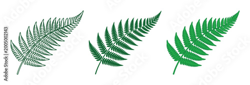 Bilde på lerret Green fern leaf vector set, botanical silver fern foliage icons, tropical plant