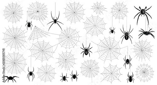 Diverse assortment of black spiders and intricate white spider webs are scattered across a clean white background in various sizes.