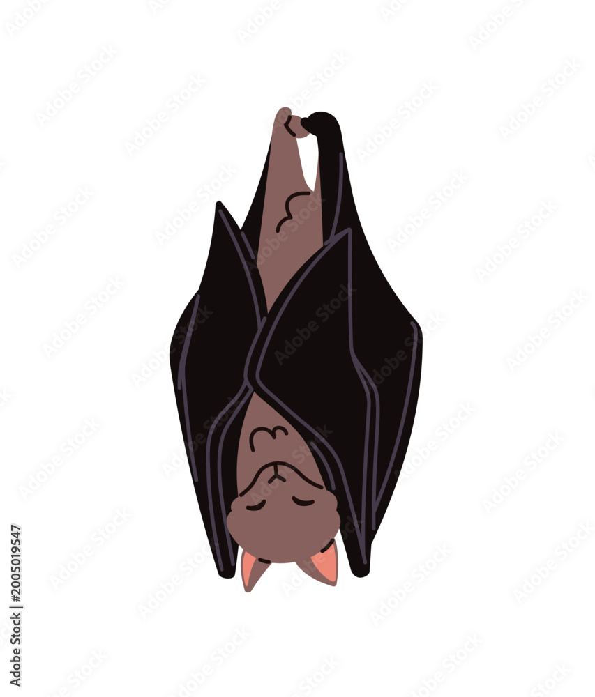 Obraz premium Cute bat is hanging upside down and having a nap. Funny vampire animal sleeps and smiles. Happy baby character of Halloween with folded wings has a rest. Flat isolated vector illustration on white