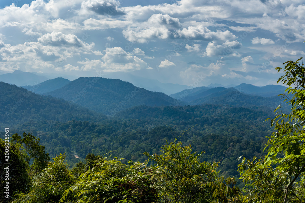 Fototapeta premium Scenic mountain landscape of a tropical rainforest wilderness on a cloudy day
