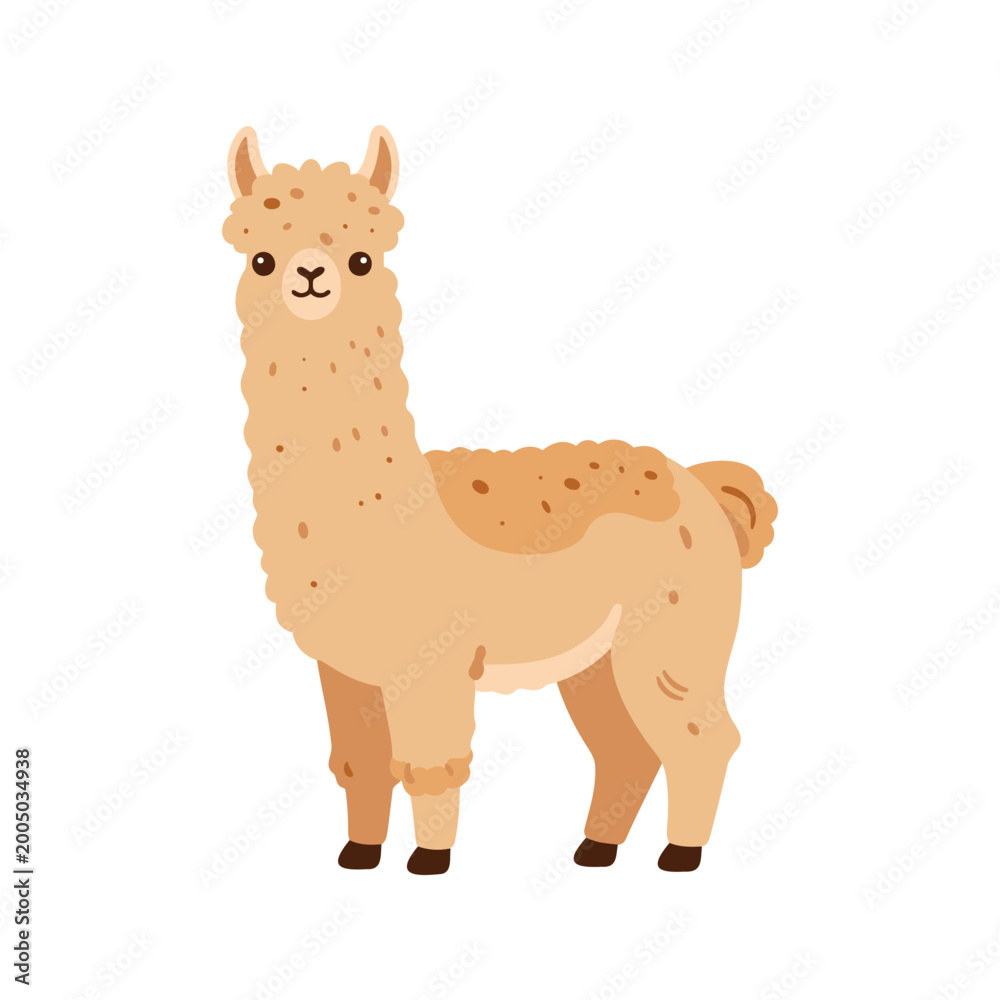 Fototapeta premium Illustration of a cute cartoon llama standing on a white background