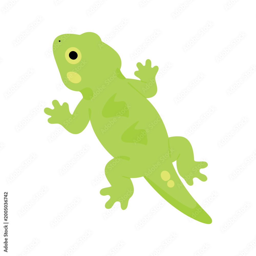 Fototapeta premium Green lizard crawls with its sticky feet and tail in a cartoon depiction on white