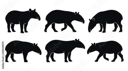 Bild auf Leinwand Multiple tapir silhouettes in side profile, solid black shapes.