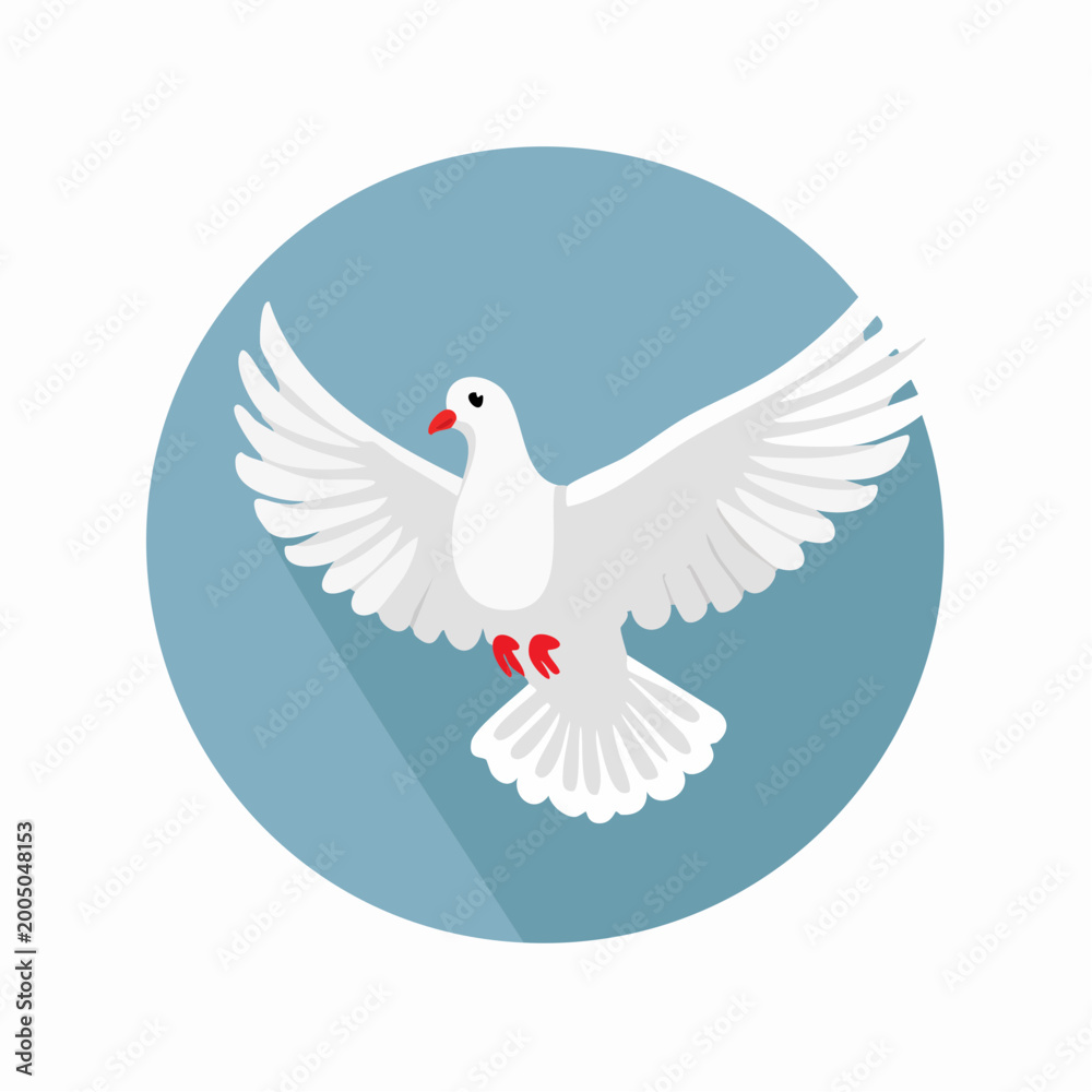Obraz premium White Dove Flying with Wings Spread