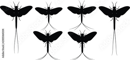 Фотография Mayfly silhouette set collection