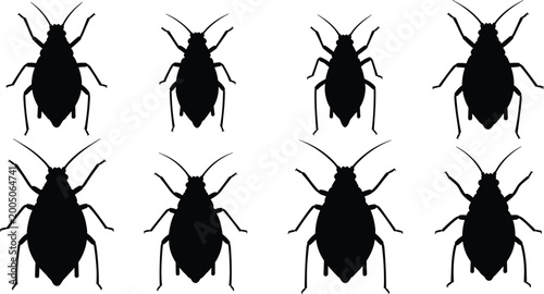 Foto Aphid silhouette grid set