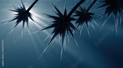 Silhouetted spiky plant against bright sun, blue toned sky with sunbeams radiating