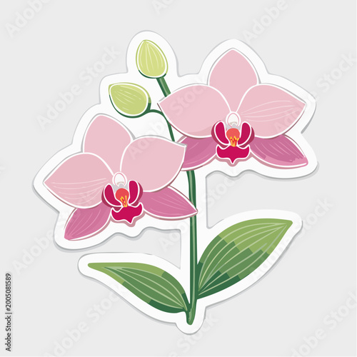 Pink Orchid Flowers with Buds and Leaves Sticker