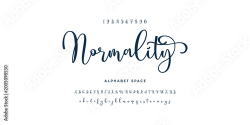 signature Font Calligraphy Logotype Script Brush Font Type Font lettering handwritten. vector illustration