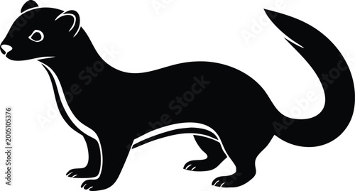 Foto stoat ferret weasel animal silhouette