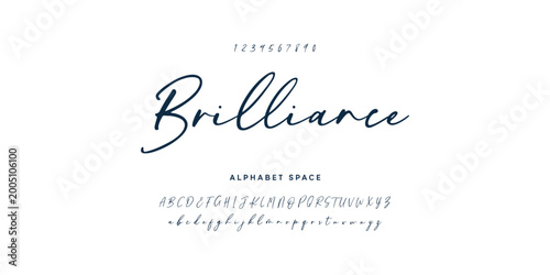 Hand drawn vector alphabet. Modern monoline signature script font. Elegant Signature Font. Best Alphabet Beautiful Calligraphy Signature Font