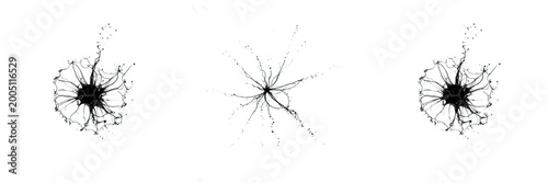 Tableau sur toile Delicate Crack or Shattered Glass Effect, Black Fragmented Lines, Broken Surface