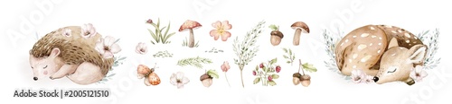 Foto Watercolor cute sleeping baby fawn and hedgehog animal