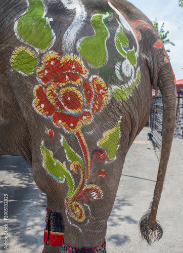 Colourful graphic  on the elephant body, the tradition of riding elephants for the ordination ceremony is popular in Sukhothai province.