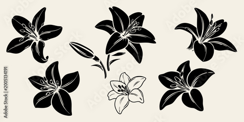 Lily flower silhouettes collection black and white botanical illustration