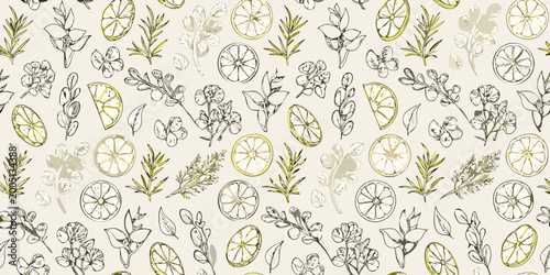 Foto Culinary herb pattern with lemon slices botanical illustration