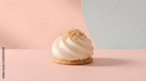 shell on a white background