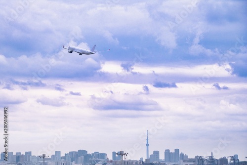 スカイツリーと飛行機