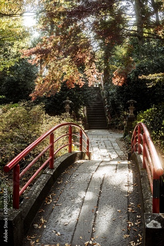 autumn in the park