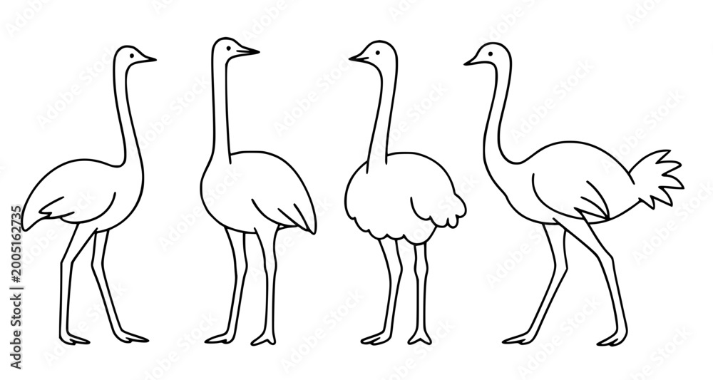 Obraz premium Ostrich icon set in outline style, for animal coloring design