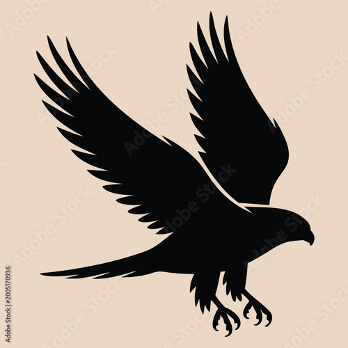 Silhouette of a bird with wings spread wide in flight