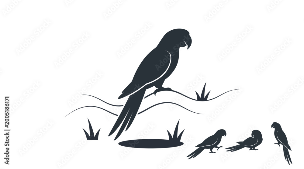 Fototapeta premium Black silhouette of parrots on grass branch