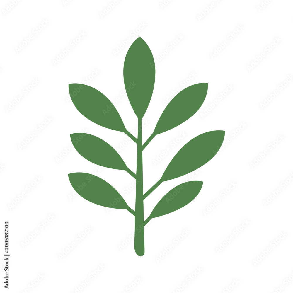 Fototapeta premium Elegant botanical illustration of a simple green leaf branch on a white background