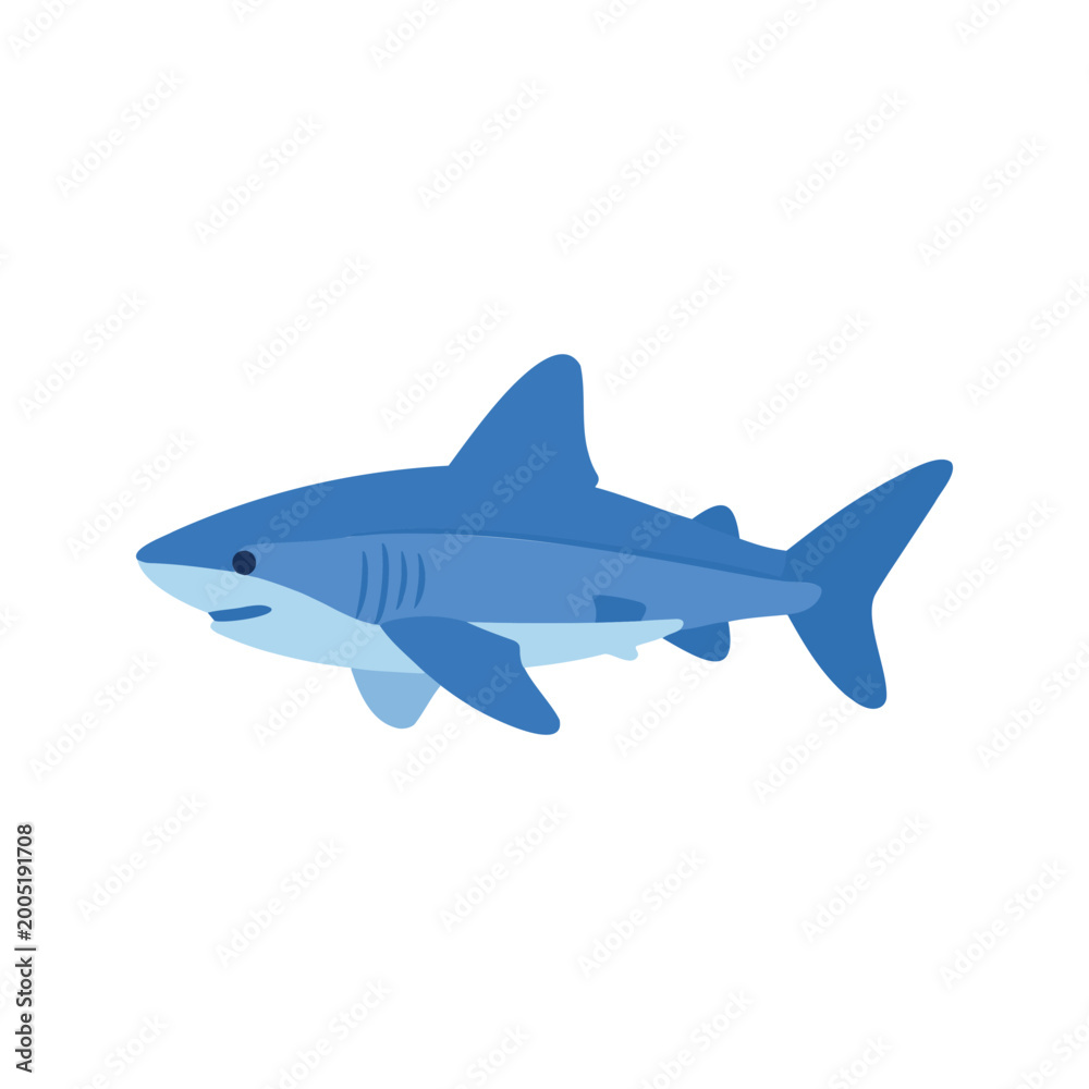 Fototapeta premium Illustration of a great white shark swimming with its mouth closed on a white background