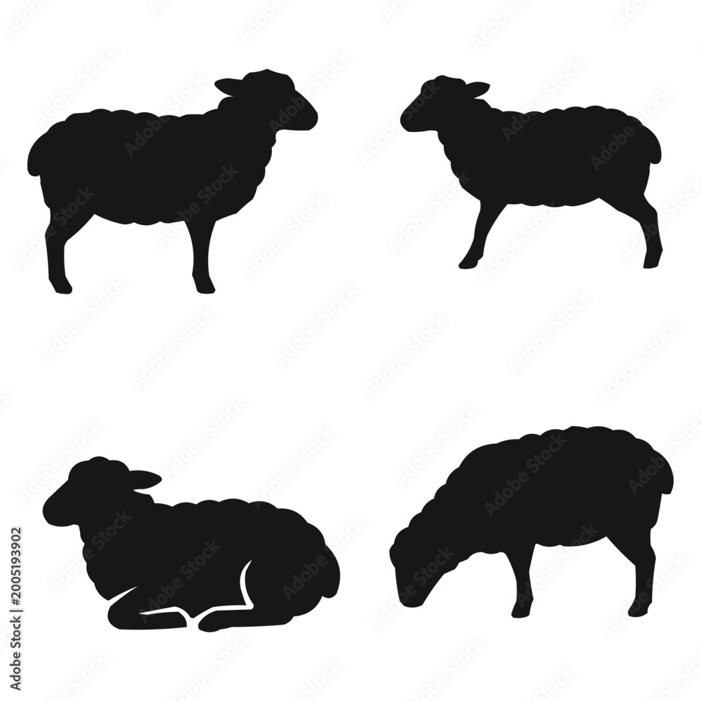 Fototapeta premium Silhouettes of Sheep in Different Poses, Farm and Livestock Animal Vector Set 