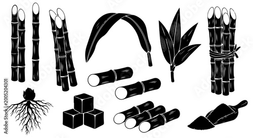 Sugarcane Collection Stalks, Leaves, Cubes, and Roots for Natural Sweetness and Industrial Use