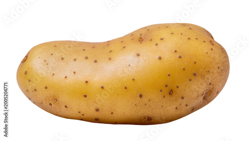 Slika na platnu Rough textured golden potato with dark brown speckles and earthy tones