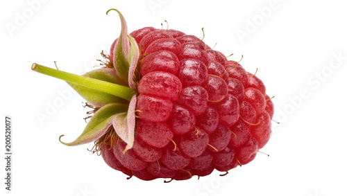 Schilderij op canvas Ripe juicy raspberry with green stem and calyx close-up