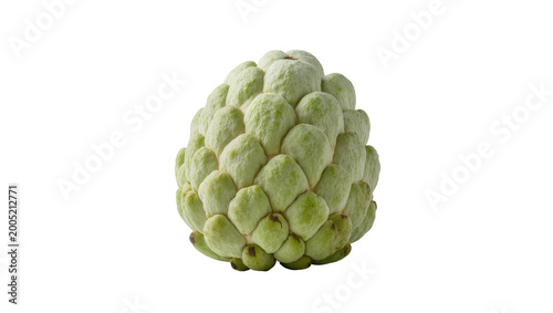 Canvastavla Round green prickly fruit with leafy protrusions and stem