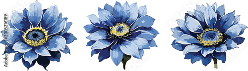 Three Delicate Blue Flowers with Yellow Centers, Isolated on White