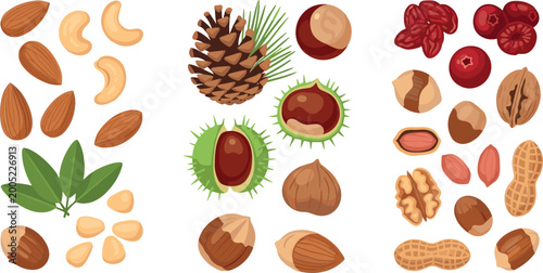 Foto Collection of Mixed Nuts, Seeds, and Pinecones with Natural Elements Vector Illu