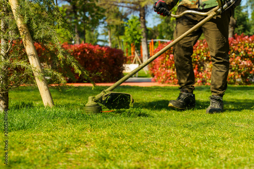 Картината върху платно Gardener trimming lawn with grass trimmer near hedge in sunny backyard